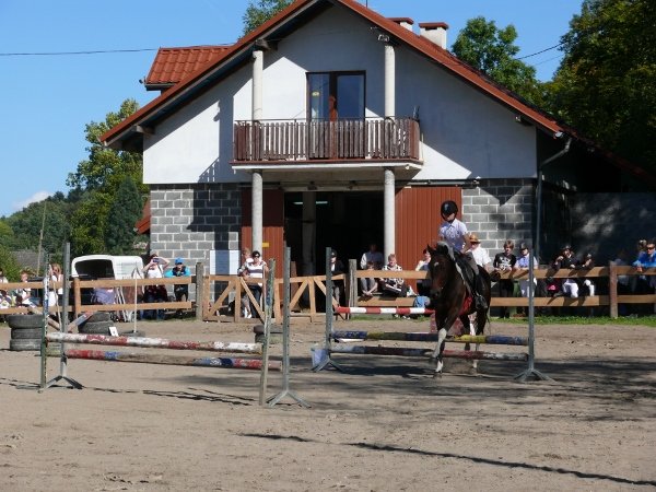 Babie Lato z Hucułami 2015